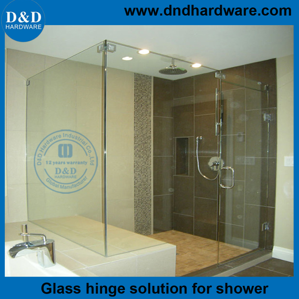 Ddgh002 Stainless Steel 316 Glass To Shower Hinges For